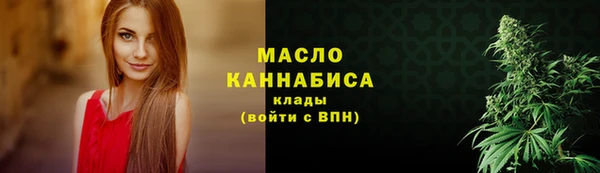 дмт Богданович