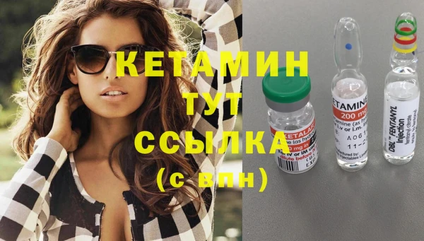 дмт Богданович