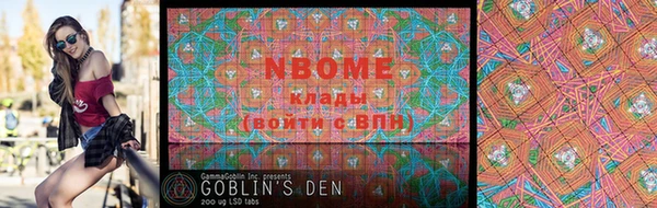 дмт Богданович