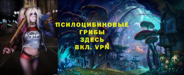 дмт Богданович