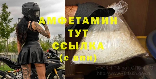 дмт Богданович