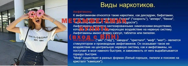 дмт Богданович