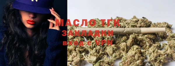 дмт Богданович