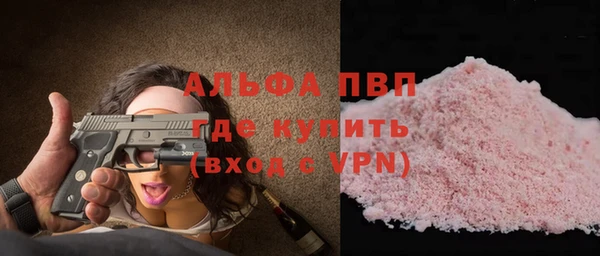 дмт Богданович