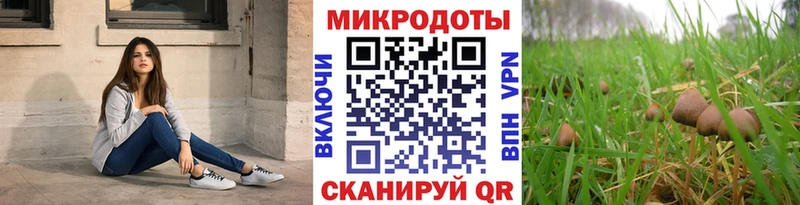 Галлюциногенные грибы мухоморы даркнет наркотические препараты Обь